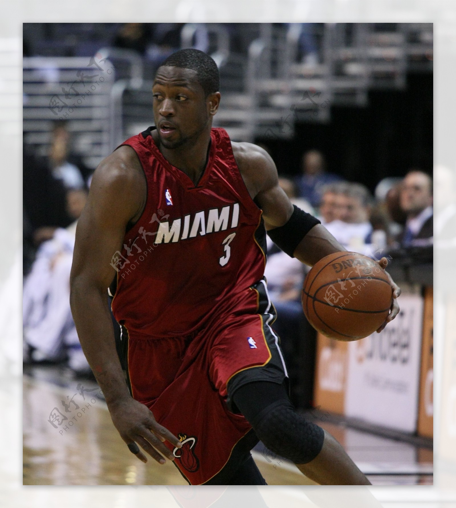 高准翼和谢 高准翼和谢